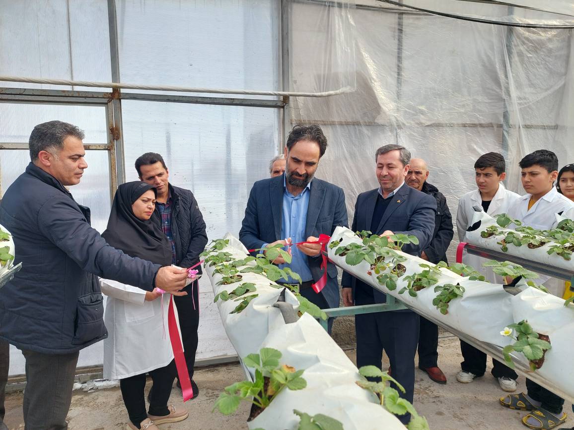 افتتاح واحد تولیدی محصولات گلخانه ای در روستای قره تپه در منطقه ویلکیج نمین